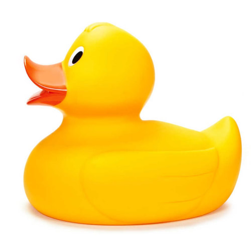 Buy Giant Rubber Duck in Yellow | Essex Duck™